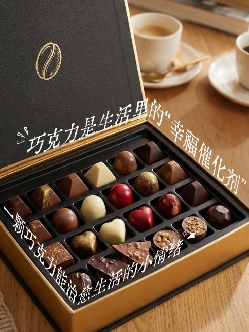 变形文字生活分享PLOG模板预览效果