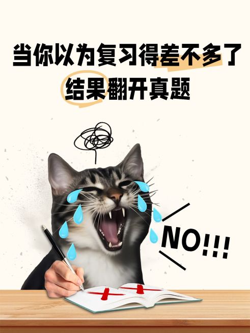 爆款表情包梗图大字小红书封面aigc预览效果