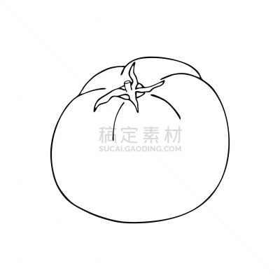 蔬菜,成分,西红柿,绘画插图,乱画,白色背景,健康食物,素食,矢量,轮廓线画