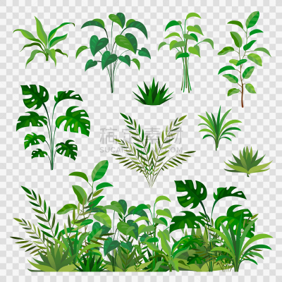 华丽的,自然,草本,美,绿色,四元素,环境,植物群,婚礼,枝繁叶茂