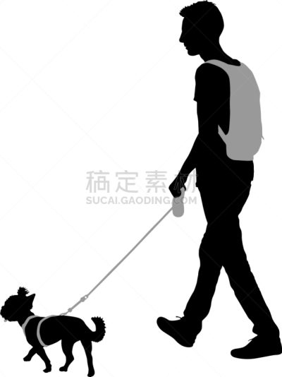 狗,男人,白色背景,纯种犬,梗犬,动物,斯班尼犬,剪影,坐,训练