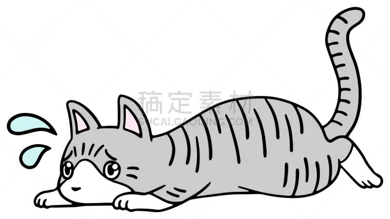 矢量,绘画插图,猫,惊骇,十二生肖,恐怖,简单,动物,宠物商店
