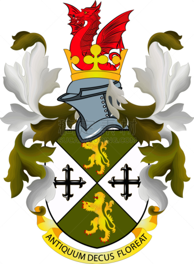 英格兰,非都市风光,国内著名景点,非凡的,西,图像,矢量,欧洲