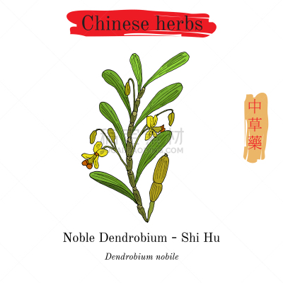 石斛,草药,生物学,亚洲,有机食品,自然,健康保健,草本