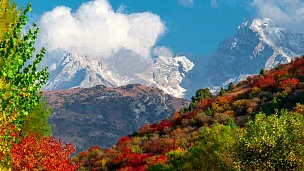 五彩缤纷的森林和高耸的山峰的山地秋季景观的延时摄影