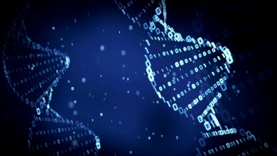 二进制DNA(环)