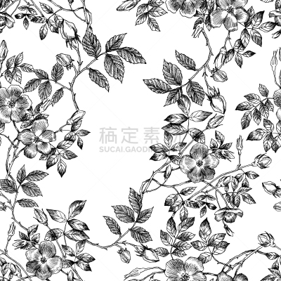 花朵,枝,四方连续纹样,野玫瑰,玫瑰,直的,婚礼,自然美,调味品,复古