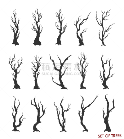 枝,树干,植物,秃树,落叶树,户外,草图,树