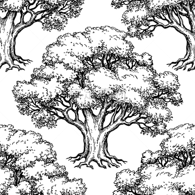橡树,四方连续纹样,华丽的,壁纸,橡树果,植物,草图,木制,雕刻图像,复古
