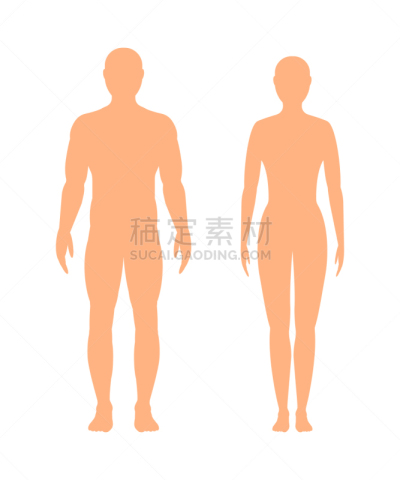 男性,女性,白色背景,成年的,健美身材,人,男人,女人,女孩,剪影