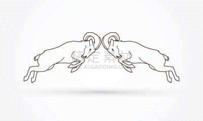 野生山羊,野生白山羊,分离着色,轮廓,自然,能力,图像,哺乳纲,山羊,打斗