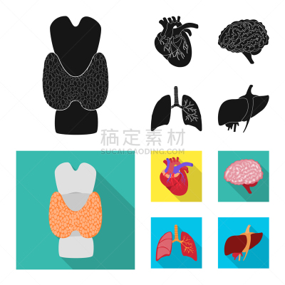 科学,生物学,品牌名称,冠状动脉,主动脉,人,背的，脊的,智慧,设计,收集
