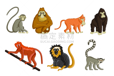 猿,卡通,动物园,动物,野生动物,可爱的,背景分离,热带气候,灵长目,山魈