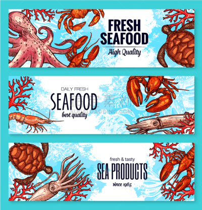 海产,海洋,商品,鱼肉,清新,食品,图像,鲔鱼,粉鲑,鲽