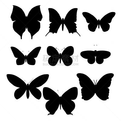 矢量,绘画插图,分离着色,白色,蝴蝶,自然,华丽的,黄色,请柬,精工制品