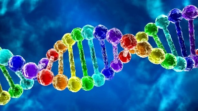 彩虹DNA