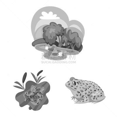 design wild and nature logo set wild