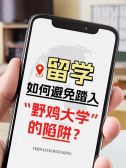 模板缩略图