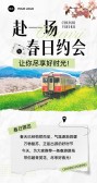模板缩略图