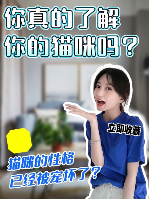 2409MB-小红书母版-指派阿基预览效果