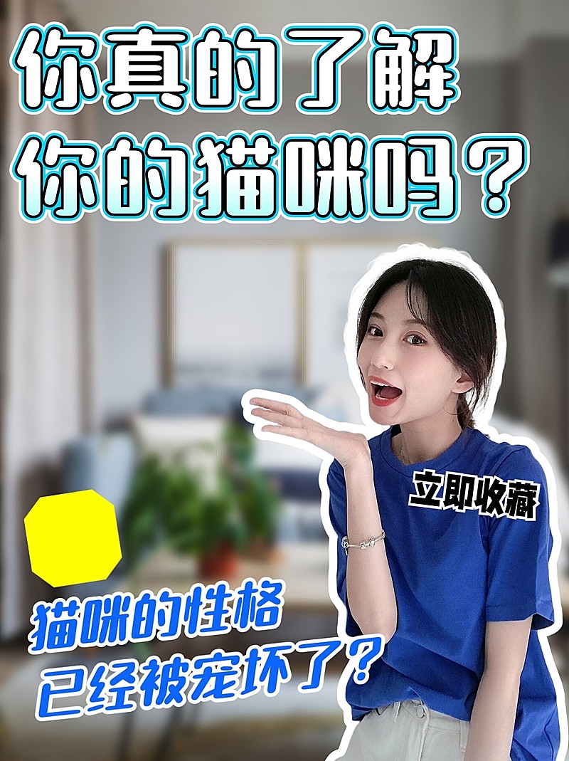 2409MB-小红书母版-指派阿基