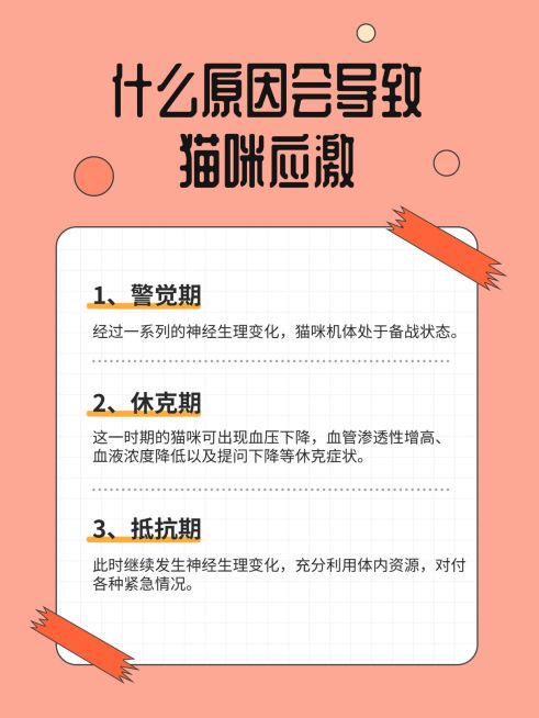 宠物知识科普小红书内页预览效果