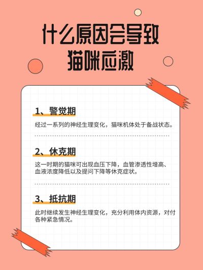 宠物知识科普小红书内页