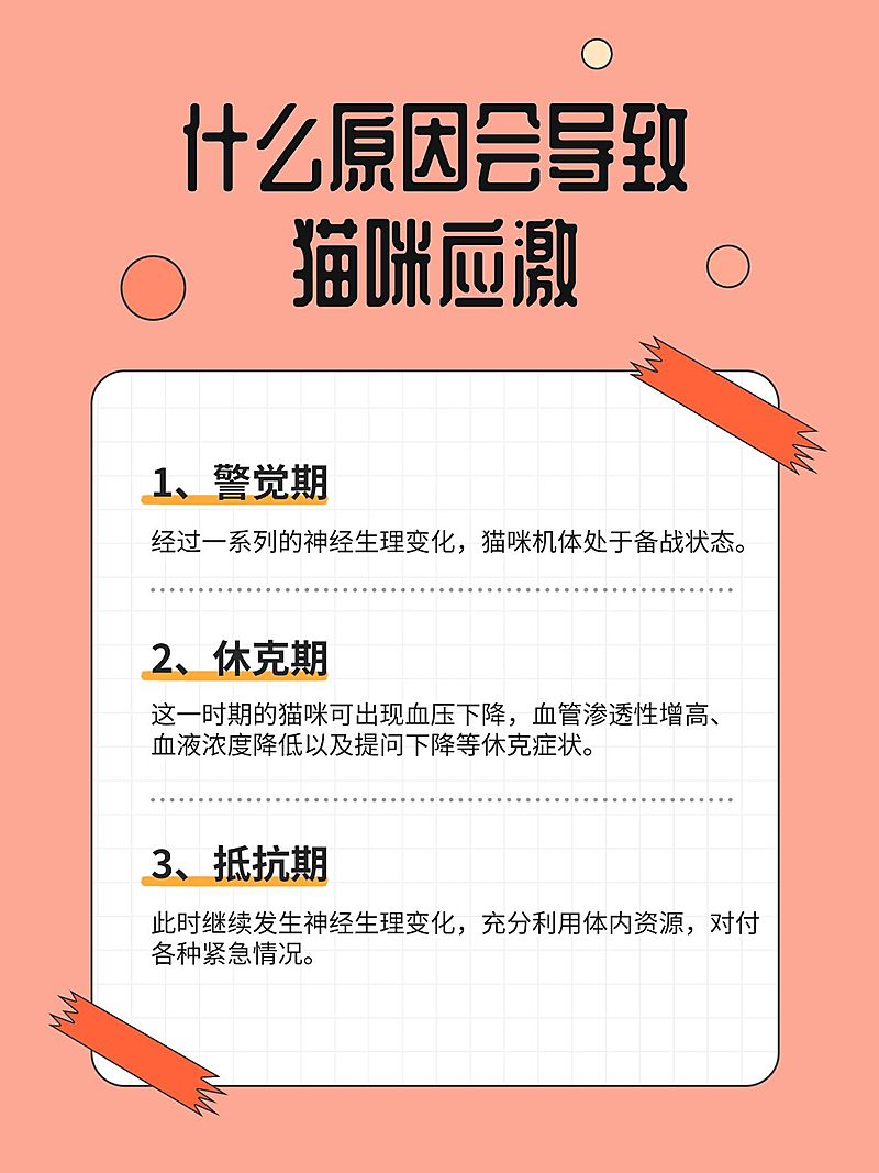 宠物知识科普小红书内页