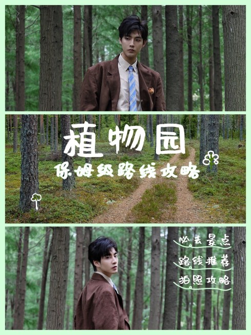 旅游出行玩法攻略简约海报预览效果