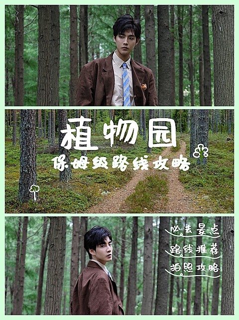 旅游出行玩法攻略简约海报