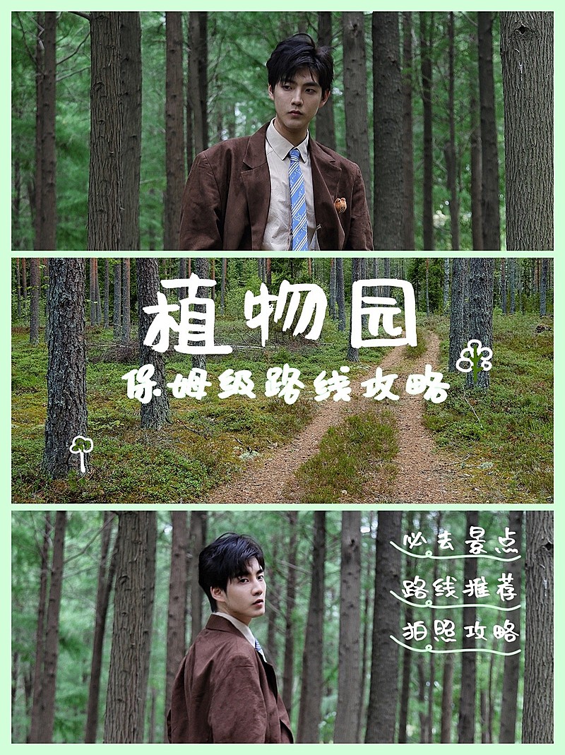 旅游出行玩法攻略简约海报