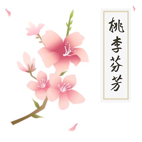 老师教师节感恩桃李芬芳公众号次图