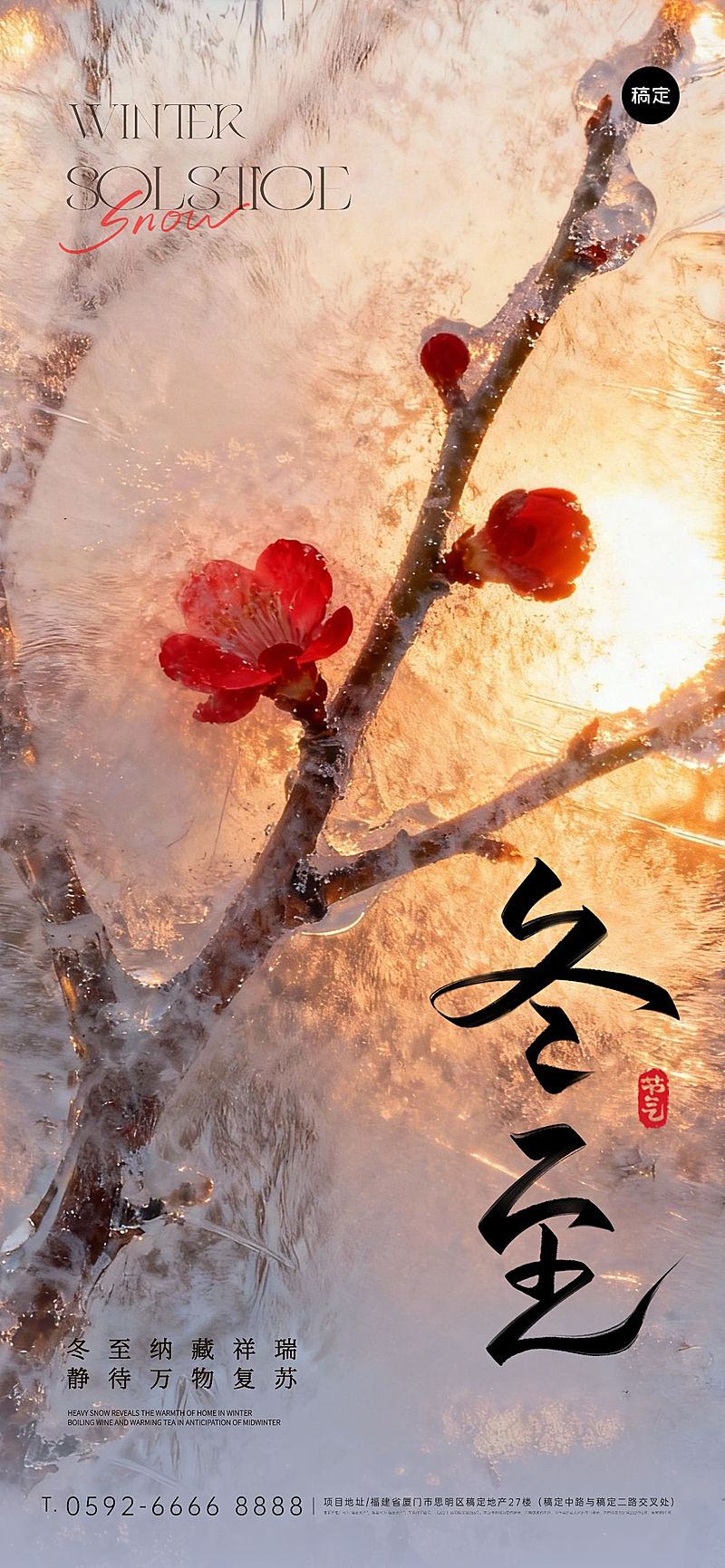 冬至节气祝福通用实景感全屏竖版海报