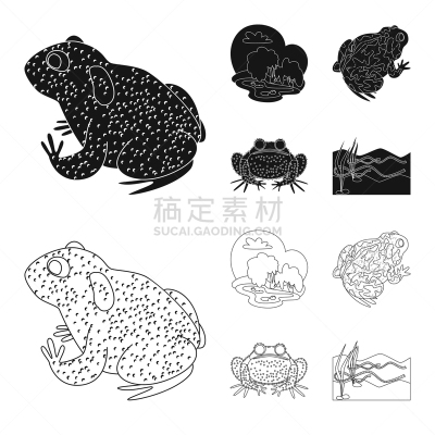 野生动物,藓沼,符号,生物学,有毒物质,青蛙,池塘,草,动物,牛蛙