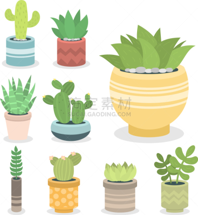 自然,仙人掌,植物,绿色,住房,分离着色,可爱的,鸡尾酒,热,图像