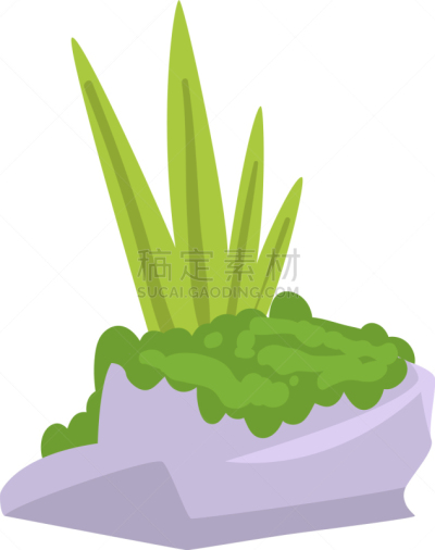 灰色,草,石头,岩石,花岗岩,苔藓,绿色,圆石,平视角,环境