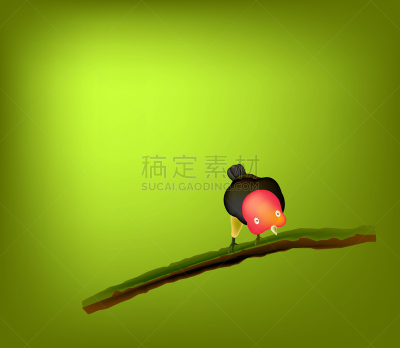 动物,鸟类,红色,墨西哥,家庭,伯利兹,哥斯达黎加,秘鲁,雪山,发现