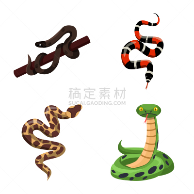 怪异,蛇,分离着色,一个物体,符号,野生动物,动物,尾巴,眼镜蛇,布置