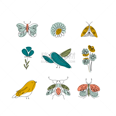 鸟类,蝴蝶,春季系列,可爱的,贺卡,背景分离,郁金香,翅膀,北美歌雀,花