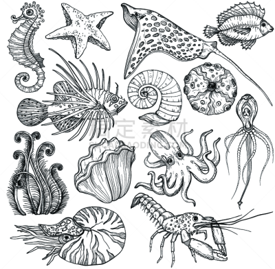 Set with hand drawn marine life.