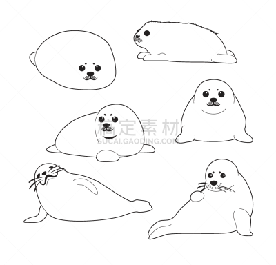 可爱的,卡通,白色,矢量,小海豹,彩色书,哺乳纲,动物,格陵兰海豹,水栖哺乳动物