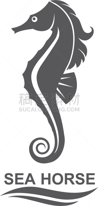 海马,分离着色,生物学,自然,海产,海洋,船,动物,装饰