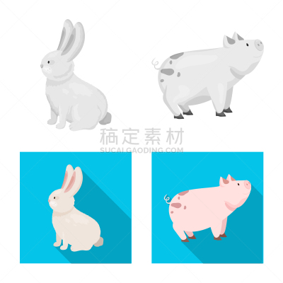 分离着色,厨房,一个物体,图标,可爱的,农业,食品,猪,动物