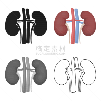 分离着色,白色,肾脏,计算机图标,动画片,时尚,生物学,健康保健,人,生病