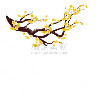中间,春节,樱桃树,樱桃,传统节日,自然美,植物,李子,日本,花