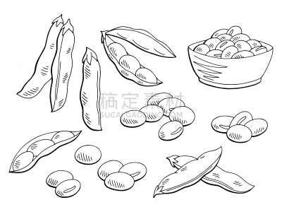 草图,绘画插图,白色,大豆,矢量,黑色,插画,分离着色,蔬菜,一个物体