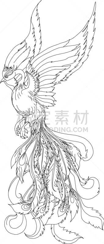菲尼克斯市,鸟类,火,热,野生动物,翅膀