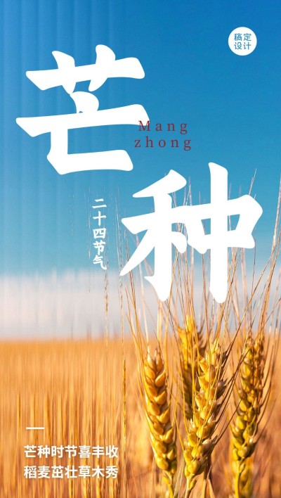 旅游芒种节气祝福长虹玻璃风全屏竖版海报