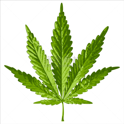叶子,分离着色,自然,健康保健,草本,草,矢量