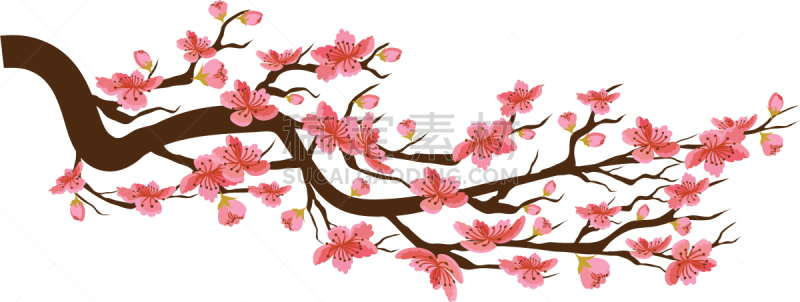 樱桃,樱之花,春节,背景聚焦,传统,中间,云,花,问候